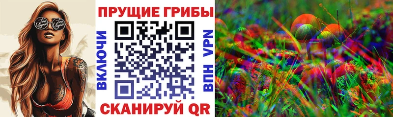 цена   Менделеевск  Галлюциногенные грибы Psilocybine cubensis 