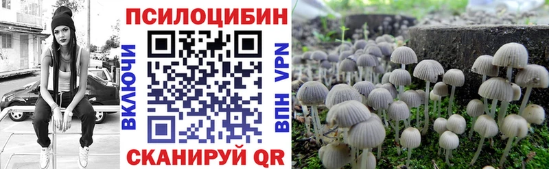 Псилоцибиновые грибы мицелий Менделеевск